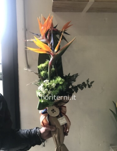 Mazzo di fiori violacciocche e gerbere