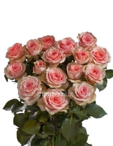 mazzi di rose rosa da comporre a steli