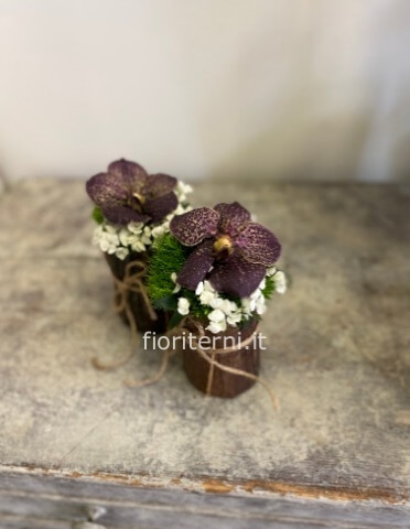 sushyflowers
