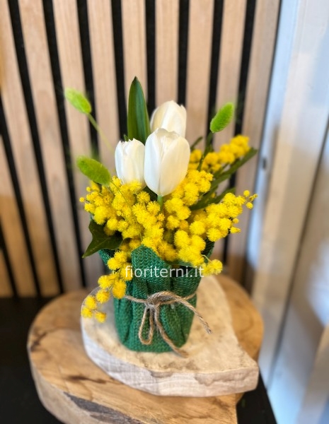 mimosa e tulipani