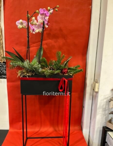 orchidea con supporto in ferro